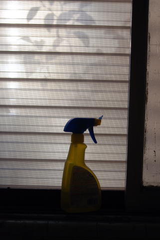 2006-12-03 0061.jpg